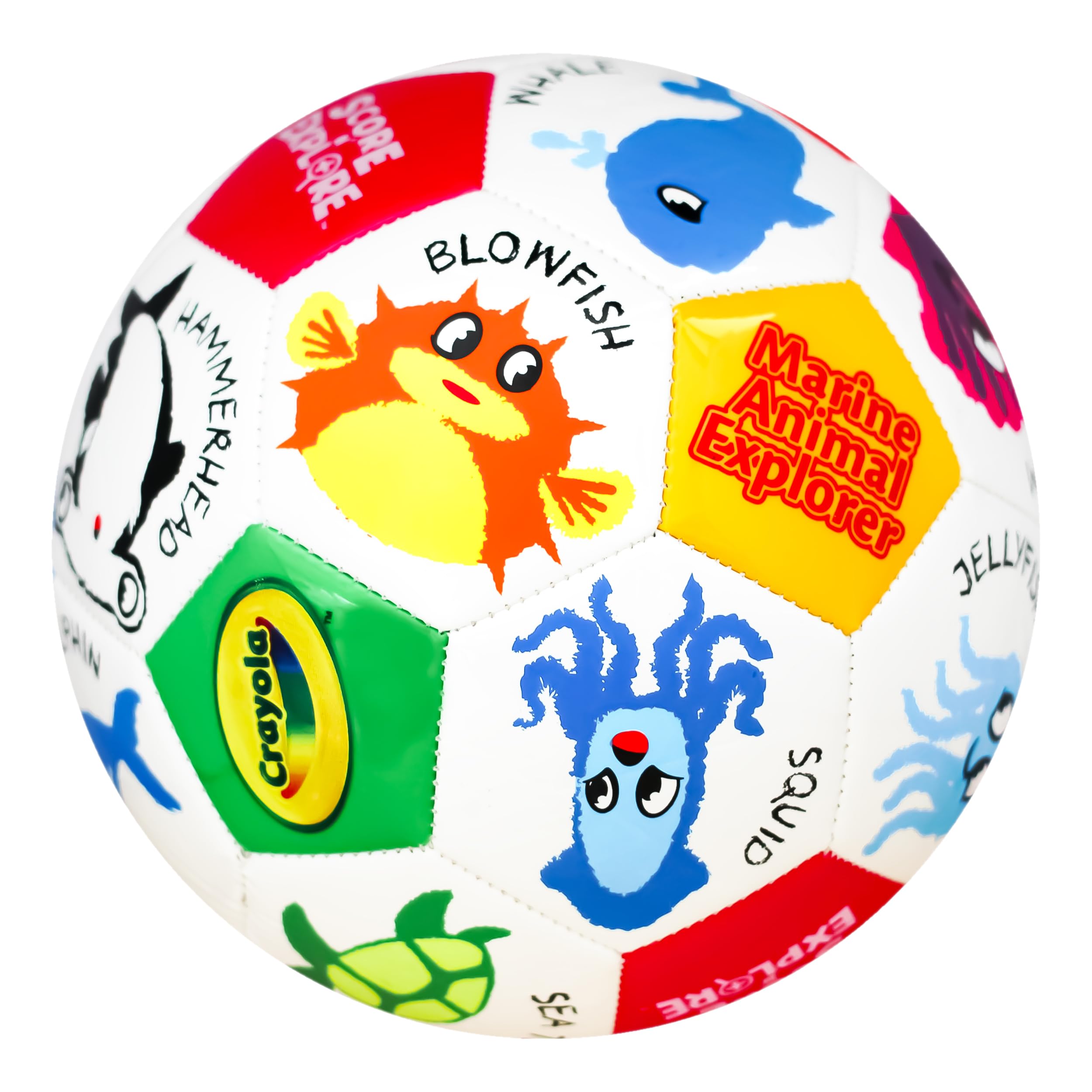 Crayola Official Soccer Ball - Unisex Kids - Marine Size 5