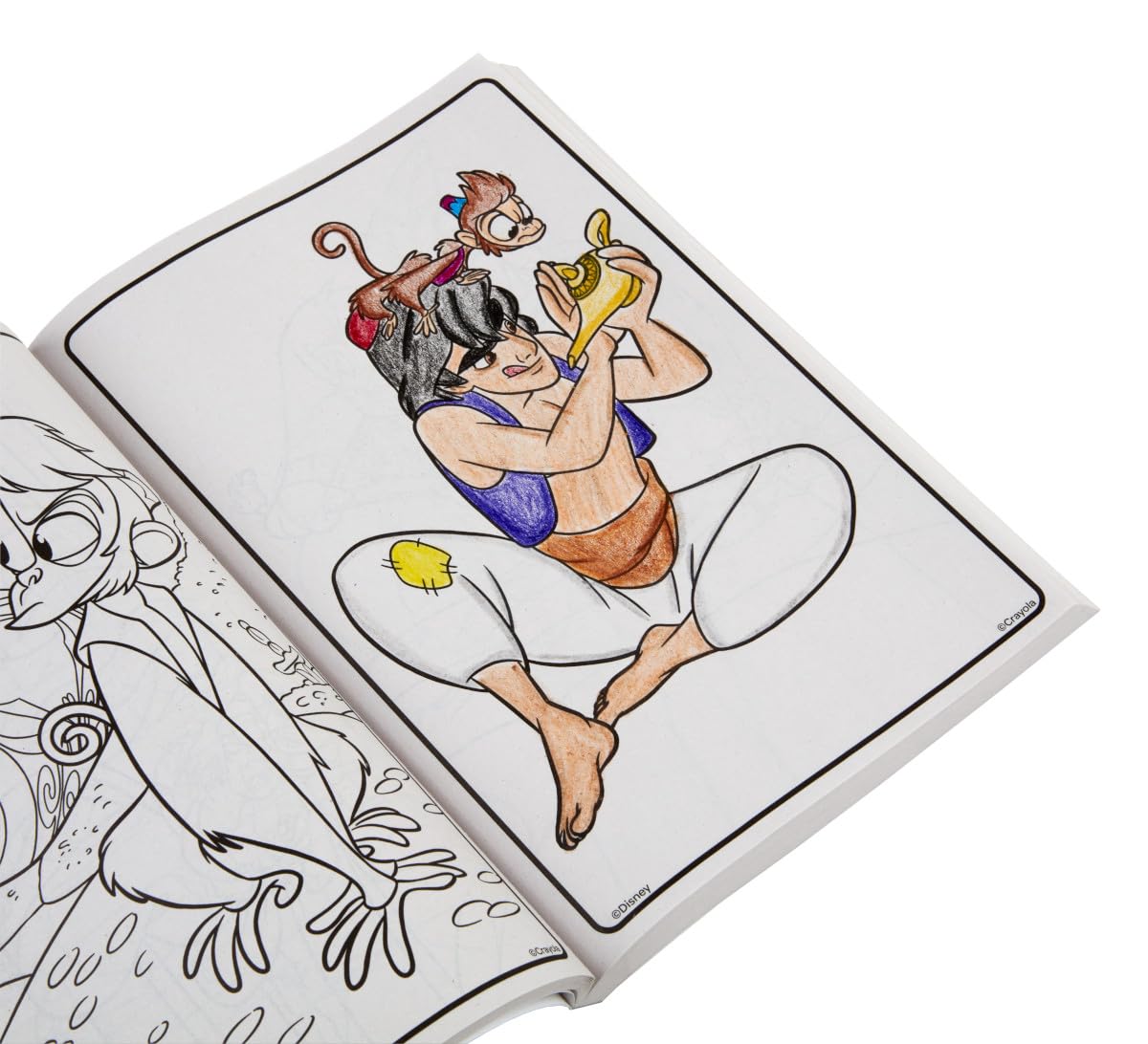 Crayola Coloring Book, Big Book of Disney Animation, 288 Coloring Pages, Gift for Kids, Age 3, 4, 5, 6